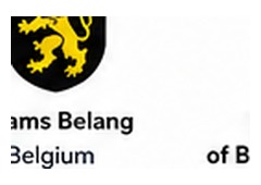 Vlaams Belang logo