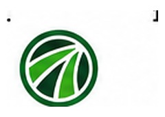 ActionSA logo