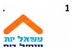 Yisrael Beiteinu logo